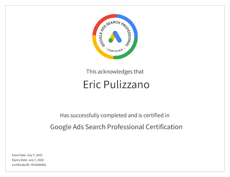 Google Ads Search Professional