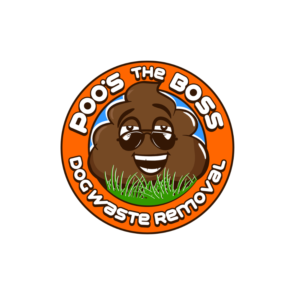 50 logo